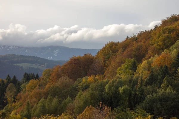 Дерева Різнокольоровими Листям Восени Стирії — стокове фото