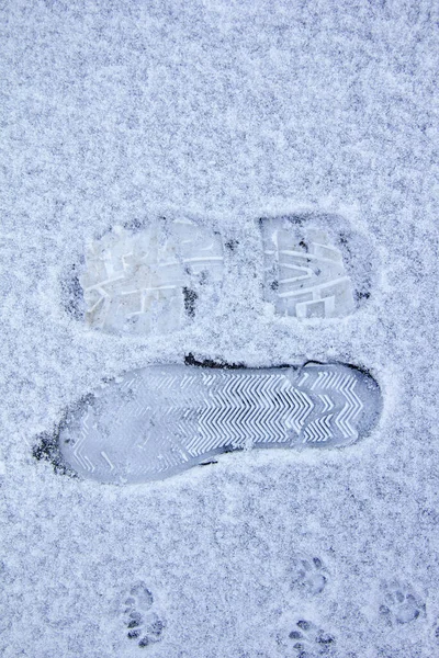 Two Different Footprints Snow Styria — Stock Photo, Image