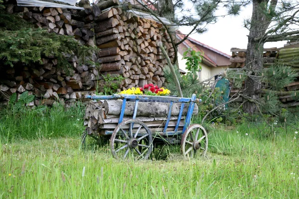 Gardens Hinterhermsdorf Saxon Switzerland — Stock Photo, Image