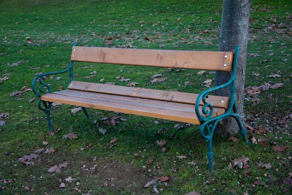 Banc Sur Prairie Verte Dans Parc Styrie — Photo