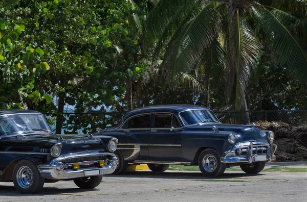 Varadero Küba Daki Palmiye Ağaçlarının Altındaki Plajda Siyah Amerikan Klasik — Stok fotoğraf