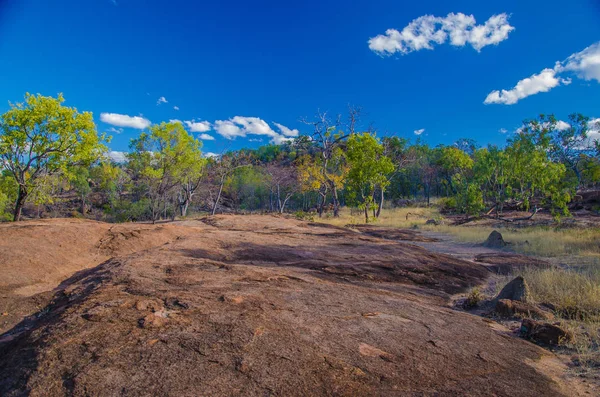 Floresta Eucaliptos Formação Rochas Parque Nacional Vulcânico Undara Queensland Austrália — Fotografia de Stock
