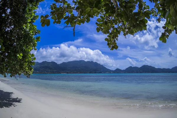 Сейшельські Острови Задньому Плані Мае — стокове фото