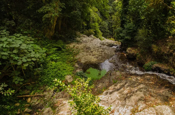 Bela Cachoeira Fundo Natureza — Fotografia de Stock