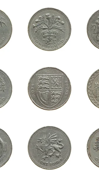 Devět Různých Vzorů Jednolibrových Mincí Vertikální — Stock fotografie