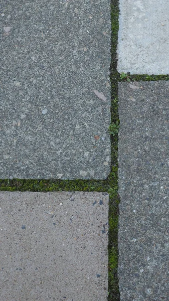 Grey Concrete Pavement Tiles Useful Background Vertical — Stock Photo, Image