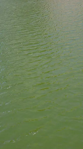 Зеленая Вода Текстура Полезна Качестве Фона Вертикальная — стоковое фото