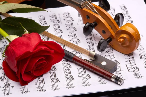 Violin (fiddle) with red rose lying on the sheet of music on a black background. String instrument.