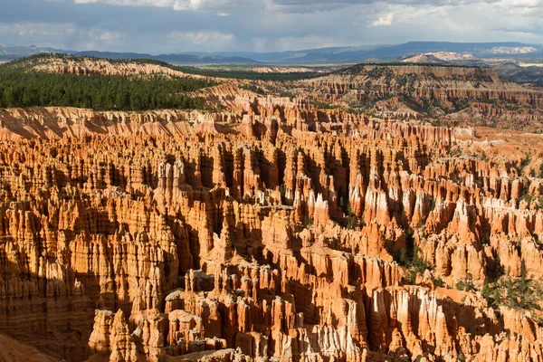 Seltsam Geformte Felsnadeln Bryce Canyon Nationalpark Utah Usa — Stockfoto