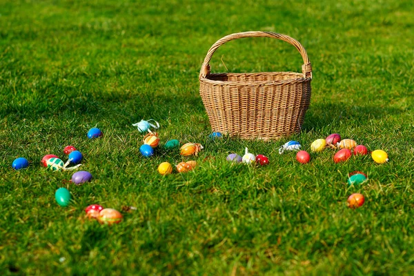 Boldog Húsvéti Nyuszi Tojás — Stock Fotó