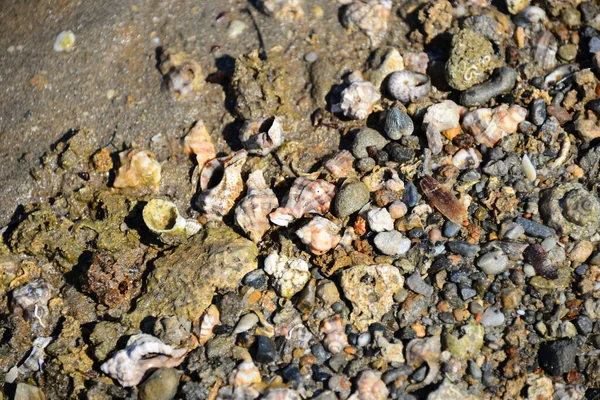 해변의 바위와 조약돌 — 스톡 사진