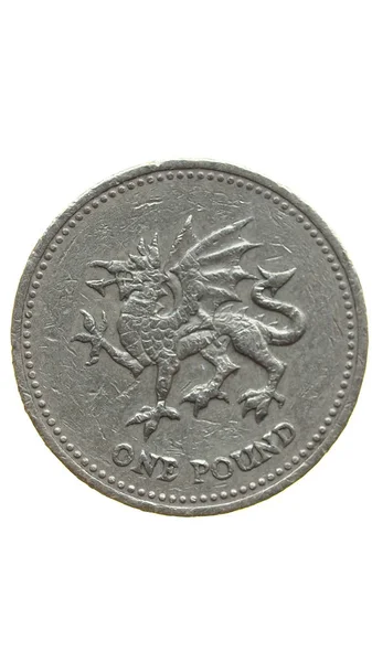 Jedna Libra Mince Izolované Přes Bílé Pozadí — Stock fotografie