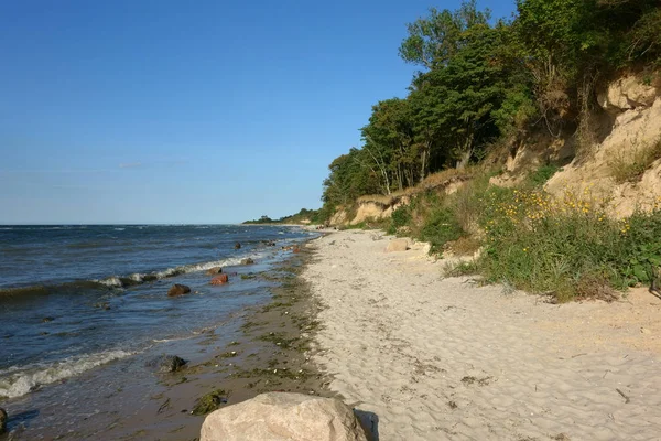 Vue Est Sur Plage Mecklembourg Poméranie Occidentale Près Kalkhorst Par — Photo