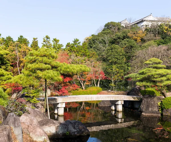 Japanse Tuin Het Najaar — Stockfoto