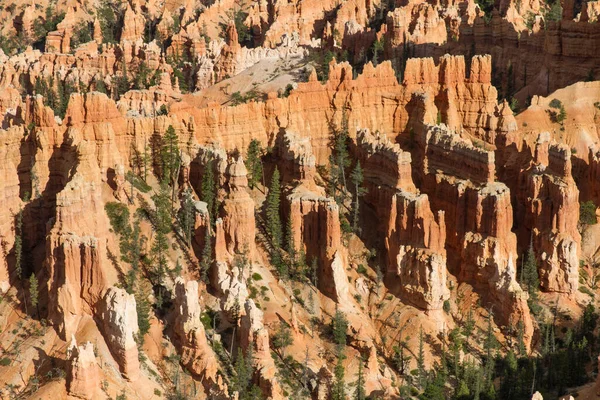 Seltsam Geformte Felsnadeln Bryce Canyon Nationalpark Γιούτα Ούσα — Φωτογραφία Αρχείου