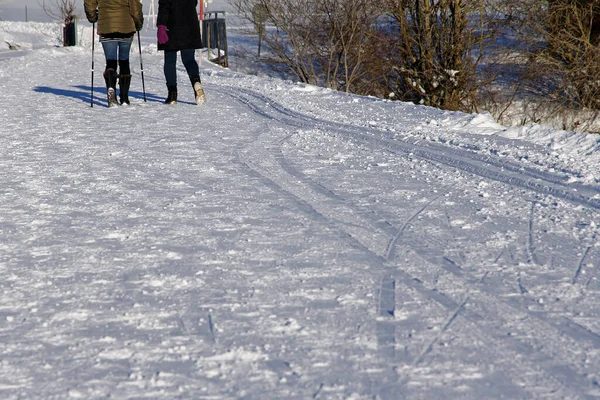 Caminar Invierno Dos Mujeres Dan Paseo Invierno —  Fotos de Stock