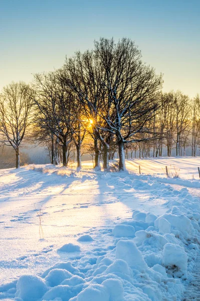 Winterseizoen Besneeuwd Landschap — Stockfoto