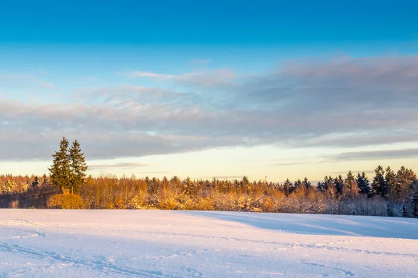 冬の季節雪に覆われた風景 — ストック写真