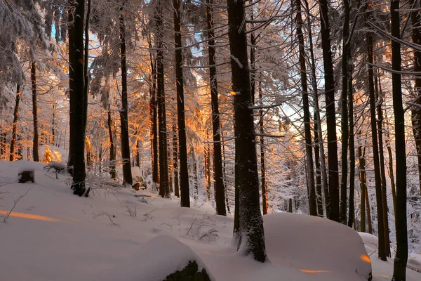 雪の冬の風景凍てつく寒さ — ストック写真