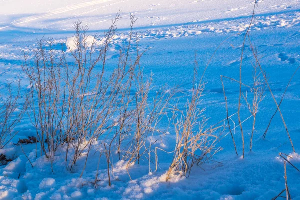 Winterseizoen Besneeuwd Landschap — Stockfoto
