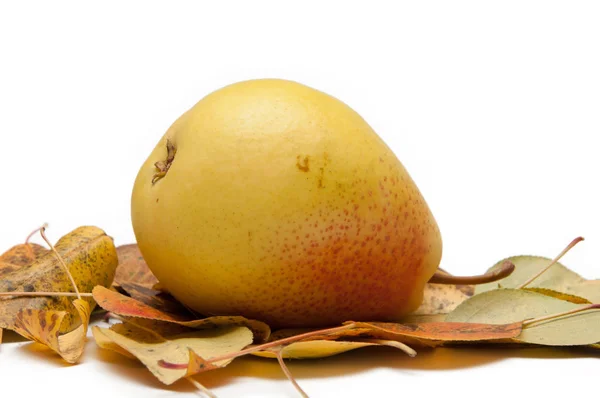 Zralé Hruškové Ovoce Podzimním Listí Bílém Pozadí Detailní Záběr — Stock fotografie