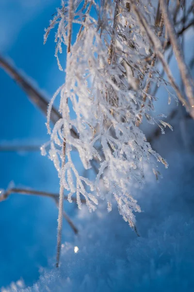冬の季節雪に覆われた風景 — ストック写真
