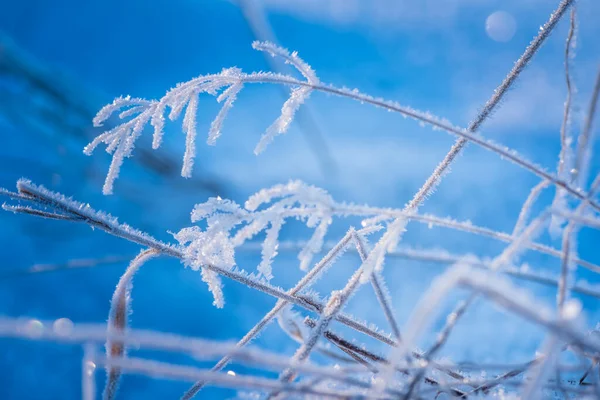 Temporada Inverno Paisagem Coberta Neve — Fotografia de Stock