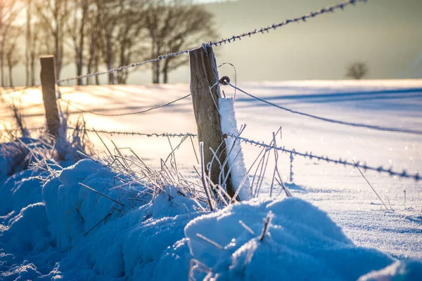 Stagione Invernale Paesaggio Innevato — Foto Stock