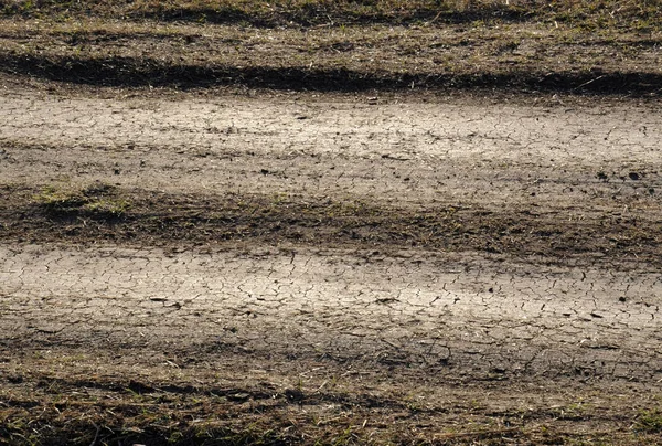 Gedroogde Zandweg Het Voorjaar — Stockfoto