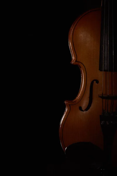 Violin Svart Bakgrund — Stockfoto