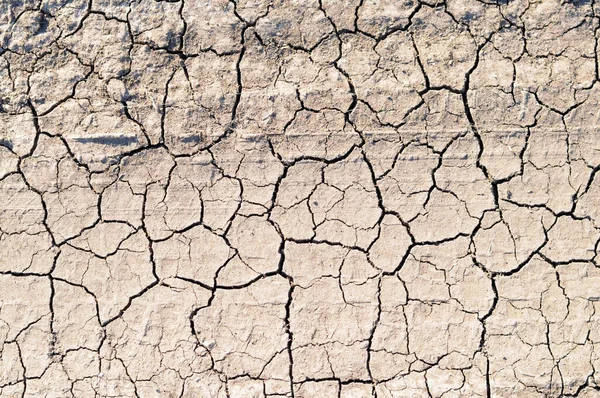 地面の亀裂暑い日に乾燥 — ストック写真
