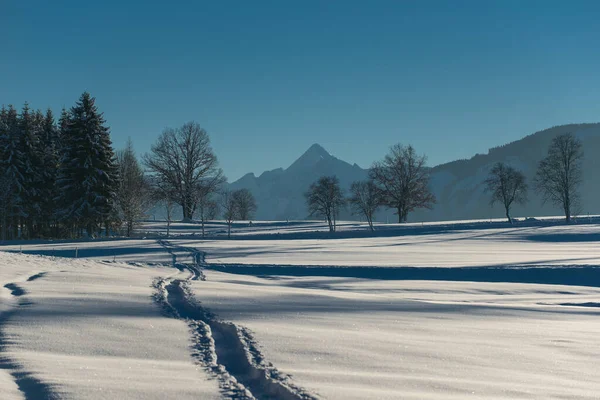 Bela Paisagem Inverno Pinzgau Distrito Salzburgo Zell Ver Perto Saalfelden — Fotografia de Stock