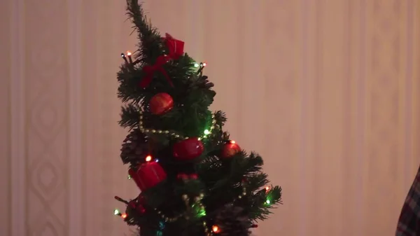 Bela Pequena Árvore Natal Brilhante — Fotografia de Stock