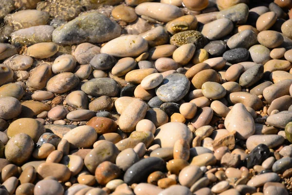 Strandkövek Sziklák Kavicsok — Stock Fotó