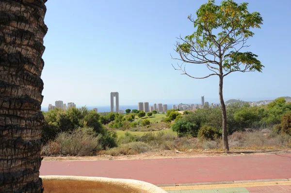 Benidorm Costa Blanca Spanya Skyline — Stok fotoğraf