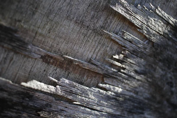 Holz Hintergrund Holz Wand — Stockfoto