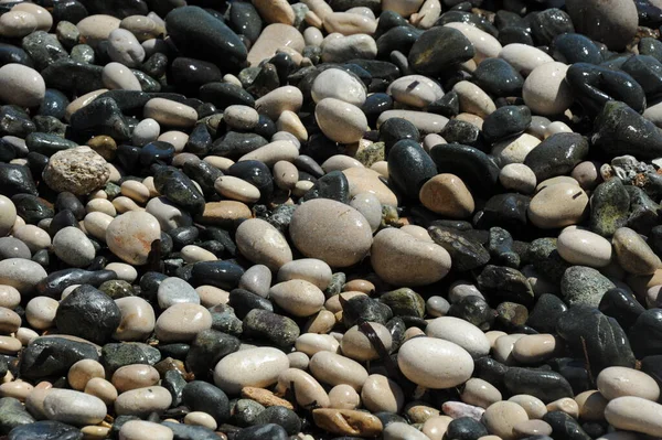 Strandstenar Stenar Och Småsten — Stockfoto