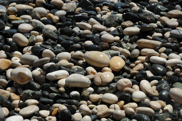 Beach Stones Rocks Pebble — Stock Photo, Image