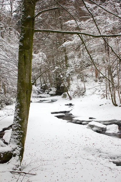 Paesaggio Fluviale Gocciolato Neve Inverno Una Riserva Naturale Forestale Stiria — Foto Stock