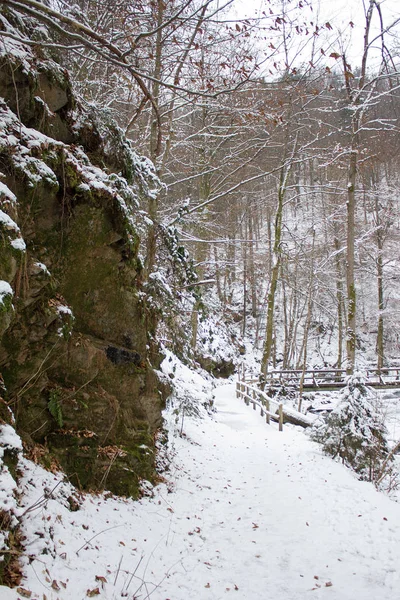 Túraútvonal Télen Borított Egy Erdő Természetvédelmi Stájerországban — Stock Fotó