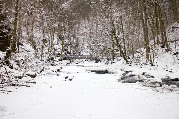 スタイリアの森林自然保護区で冬に雪が降る川沿いのゲフロレン — ストック写真