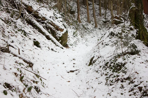 Hiking Trail Winter Covered Snow Forest Nature Reserve Styria — Stock Photo, Image