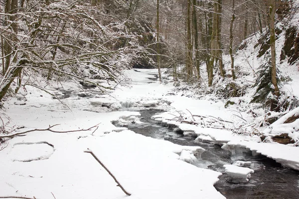 Paesaggio Fluviale Gefrohren Con Neve Inverno Una Riserva Naturale Forestale — Foto Stock