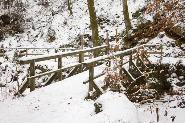 Ponte Sul Sentiero Inverno Ricoperto Neve Una Riserva Naturale Forestale — Foto Stock