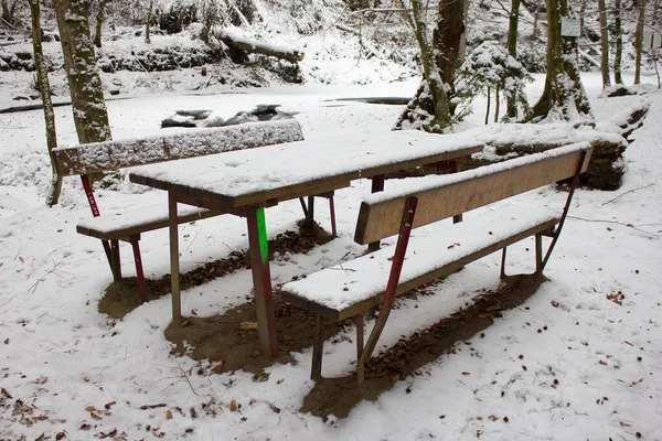 benches in winter covered with snow in a forest nature reserve in styria