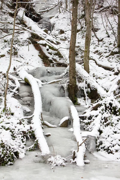 Gefrohrener Kleiner Wasserfall Einem Waldschutzgebiet Der Steiermark — Stockfoto