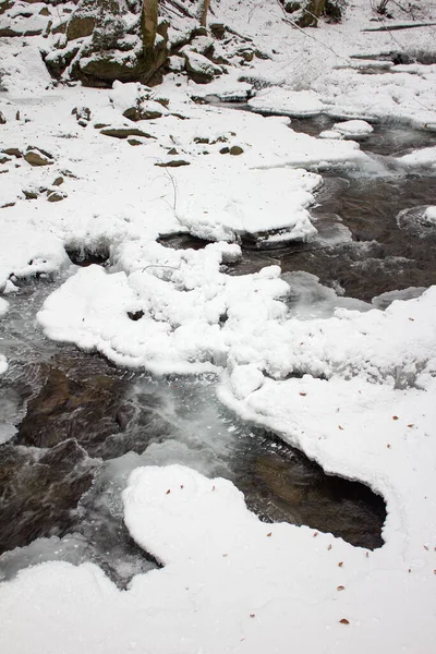 Gefrohren Riverscape Com Neve Inverno Uma Reserva Natural Florestal Styria — Fotografia de Stock