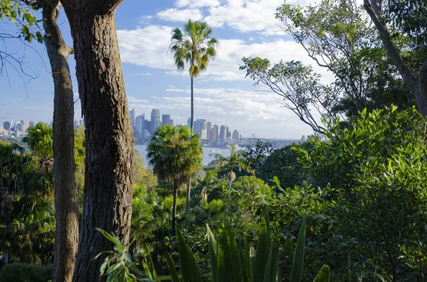 Vista Jardim Zoológico Taronga Para Ópera Sydney — Fotografia de Stock