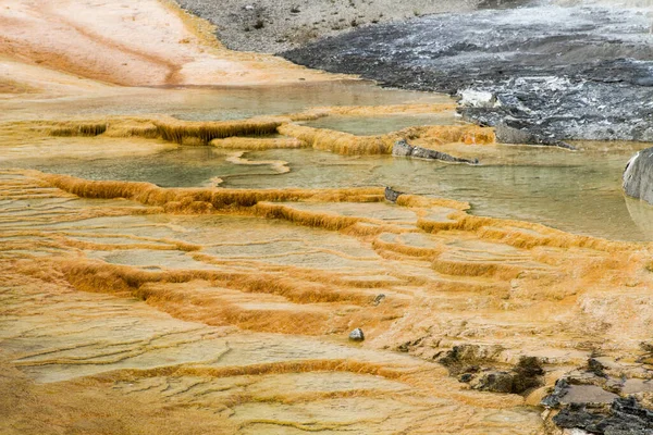 Тераса Мінерва Національний Парк Жовтого Каменю Бейстоун Еса — стокове фото