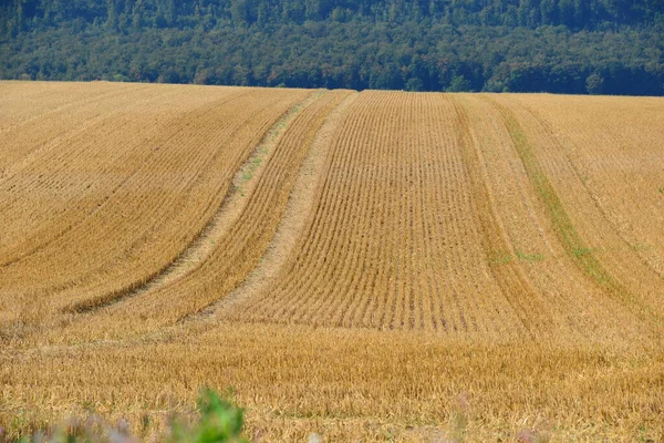 Landschaften Niedersachsen — Stockfoto